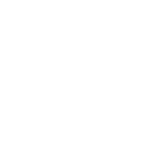 Store-icon